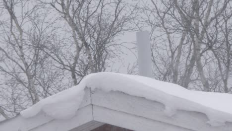 house roof covered in snow, while snowstorm sways trees in background