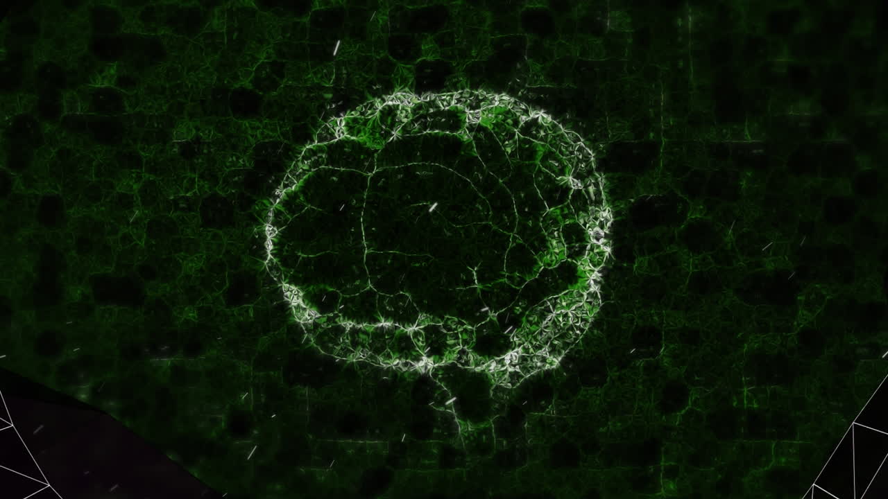 Animation of tunnel of network of connections over human brain spinning