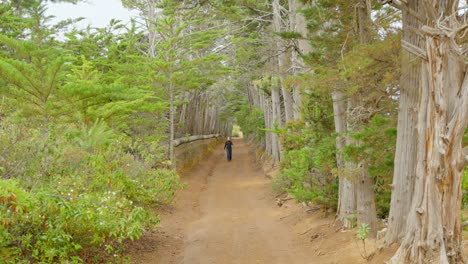 Mujer-Morena-Tomando-Su-Paseo-Diario-Durante-El-Día-En-La-Selva-De-Tenerife