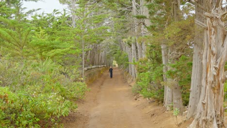 mujer morena dando su paseo diario durante el día en la jungla de tenerife