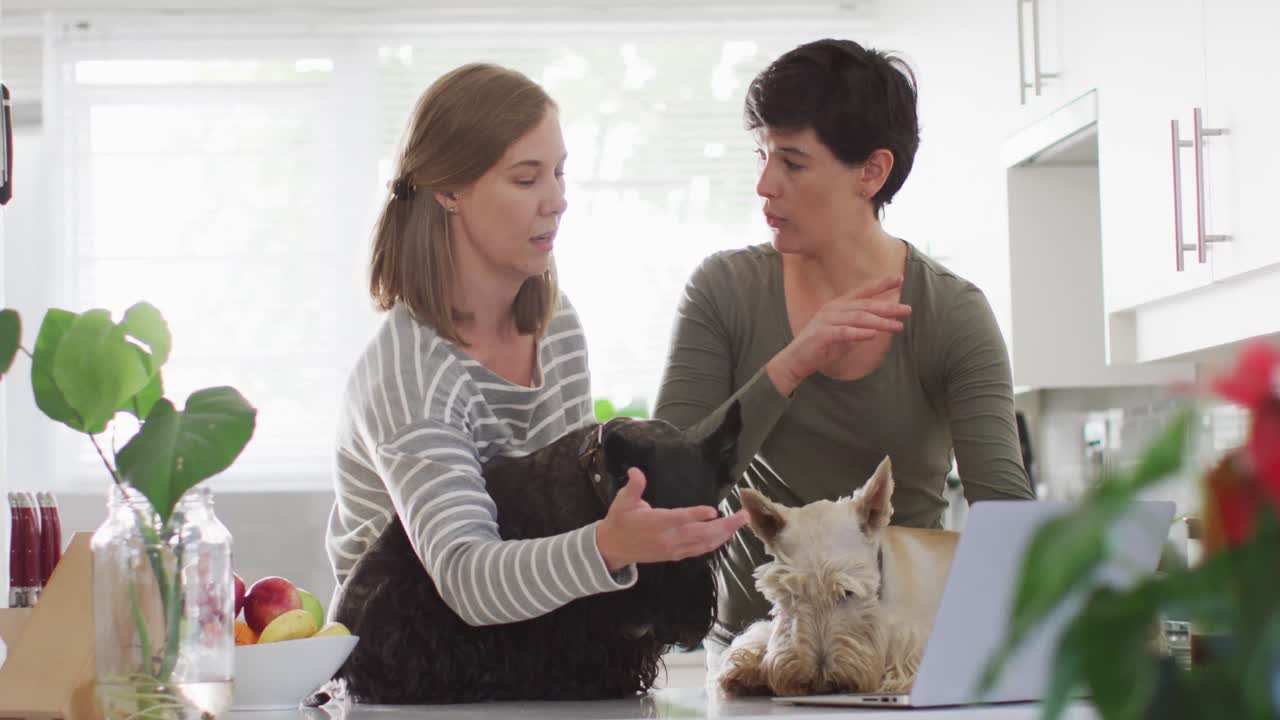 카우카시안 레즈비언 커플 이 개 들 과 함께 집 에서 서로 이야기 하고 있다