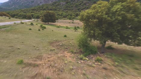 the semi arid forest landscape of southern spain is seen from a fast drone shot