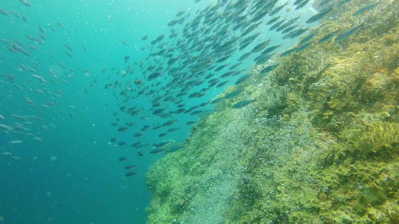 la vida se mueve mucho más rápido aquí abajo.