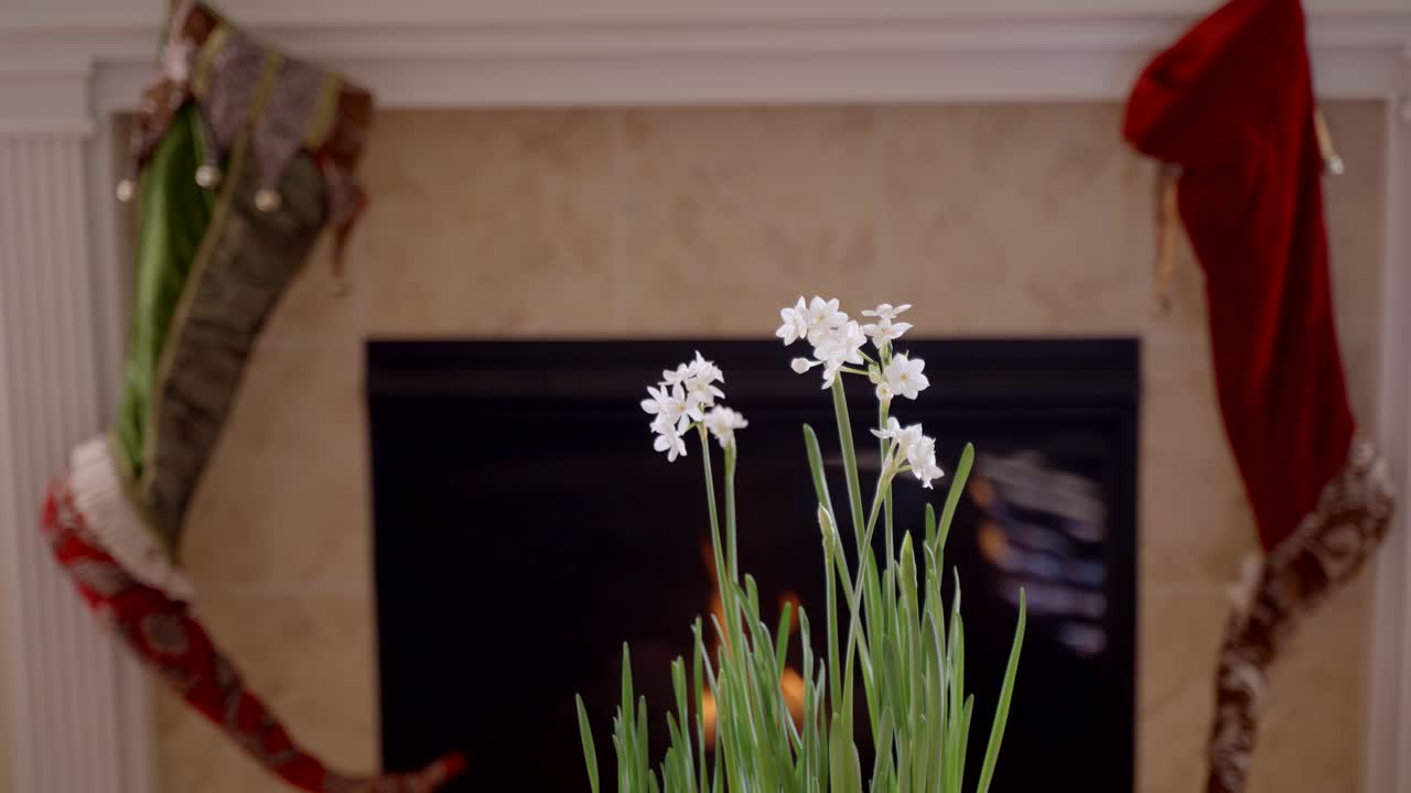 배경에 아늑한 벽난로가 있는 전경의 흰색 수선화 화분 - 시차 동작