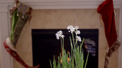 white narcissus flowerpot in the foreground with a cozy fireplace in the background - parallax motion