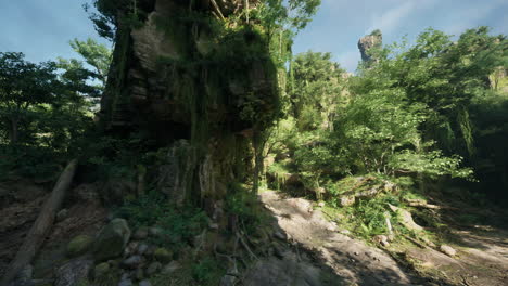 a river flowing through a vibrant green forest in australia mountain path