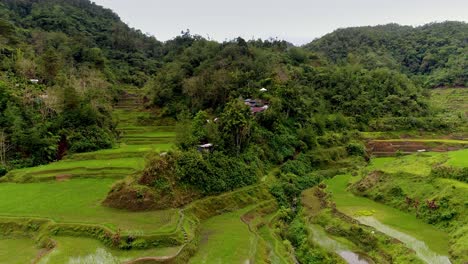 rice paddy fields carved inbetween the phillippine hills and mountains with houses and huts amongst green lush forest trees