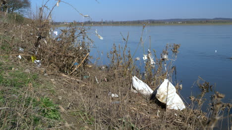 contaminación por basura plástica a lo largo de la orilla del río mosa, francia