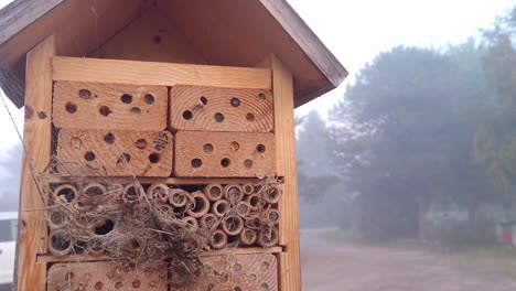 Insect-hotel-for-pollination-season,-tilt-up-close-up-view
