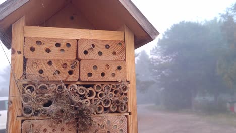 insect hotel for pollination season, tilt up close up view