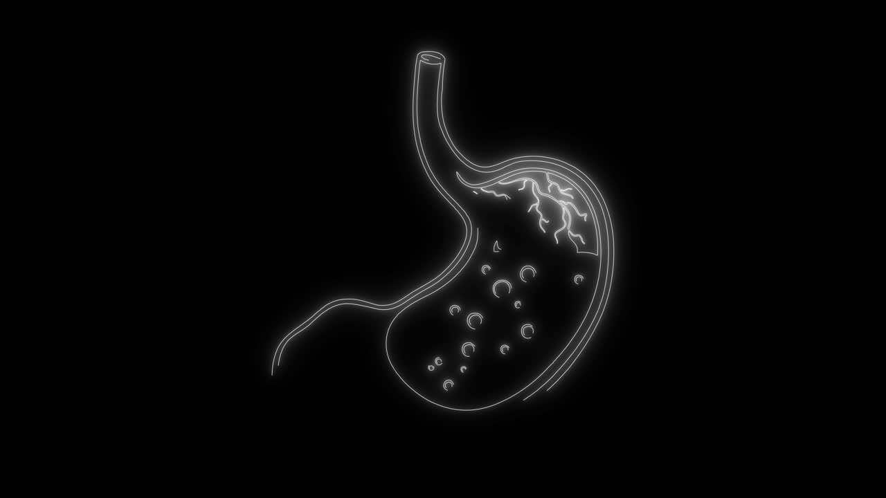 Animated Outline of Human Stomach Digestion Process