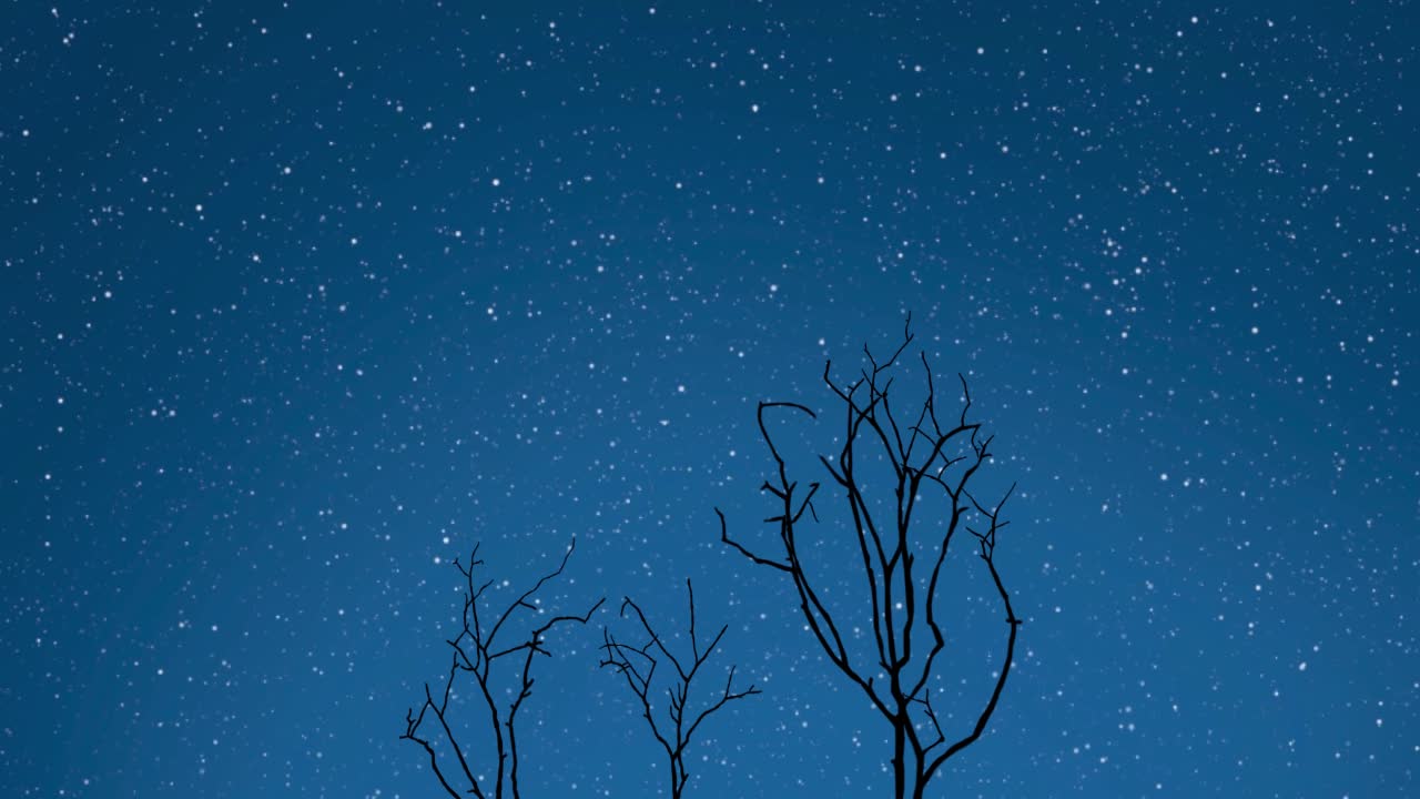 Timelapse of night blue sky with lots of stars, few falling from the sky. Silhouette dry dead tree in the foreground