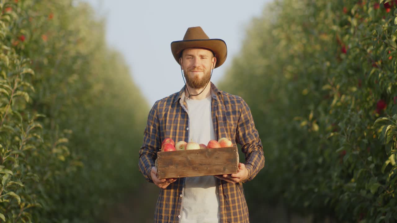 un agricultor en un huerto de manzanas con una caja de manzanas