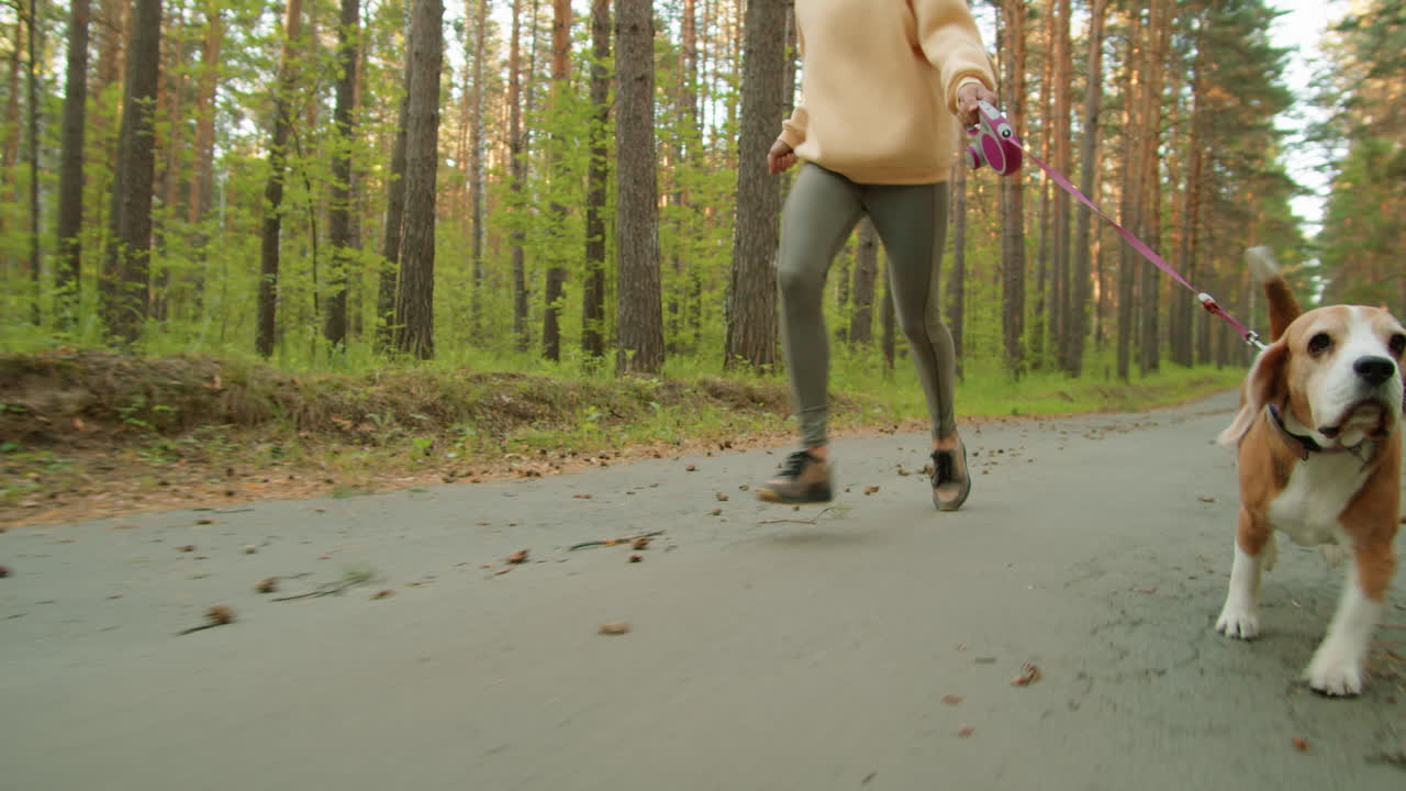mujer corriendo con su perro beagle en un bosque