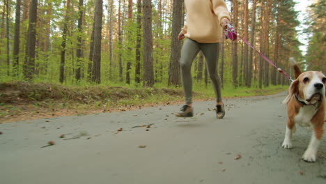 mujer corriendo con su perro beagle en un bosque