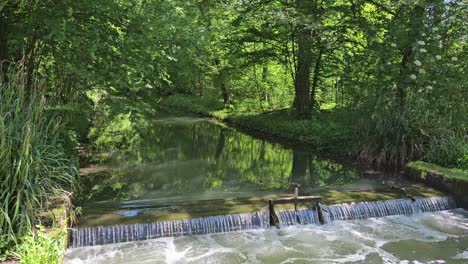 statische opname van een kleine waterstroom met schuim in een bosgebied