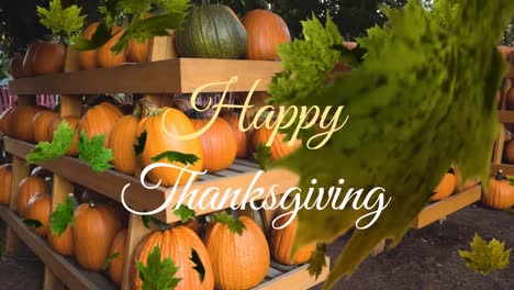 Animation-of-happy-thanksgiving-text-and-autumn-leaves-falling-against-pumpkins-on-wooden-shelfs