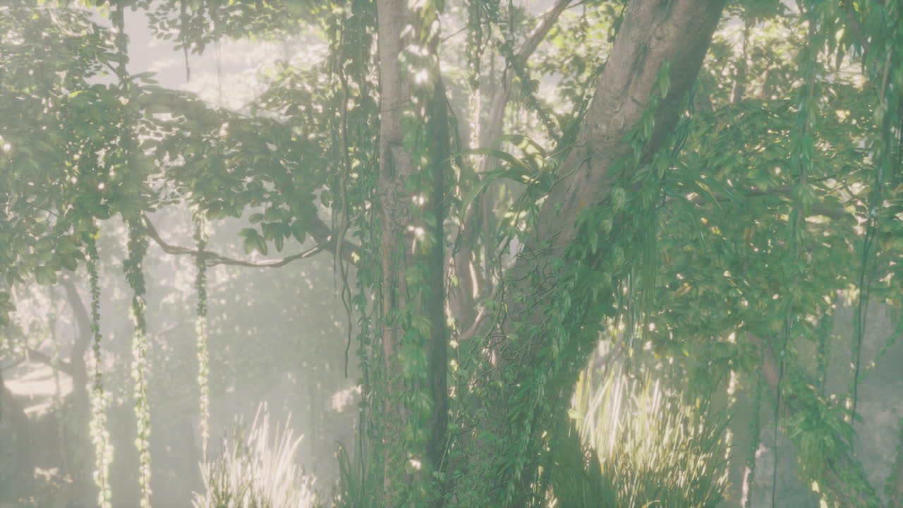 안개가 가득한 정글 숲