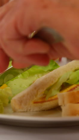 primer plano de un hombre comiendo ensalada.