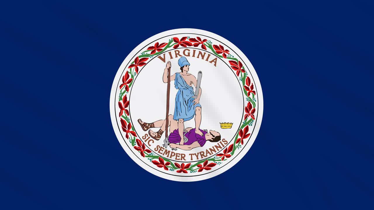 la bandera de virginia flota en el viento, bucle para el fondo