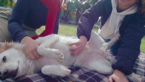 happy female friends petting adorable dog in the park