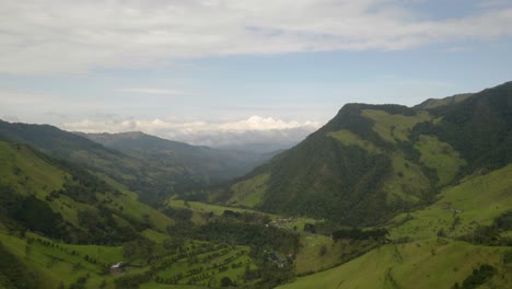 backwards shot reveals cocora valley and wax palm trees in colombia