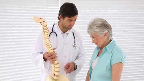 chiropractor explaining spine model to retired patient