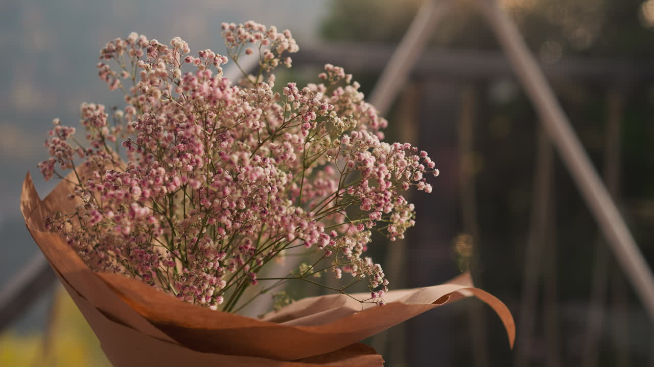 아름다운 분홍색 gypsophila 꽃줄기