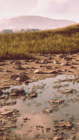 a beautiful view of a grassy field with mountains in the distance and a puddle reflecting the sky