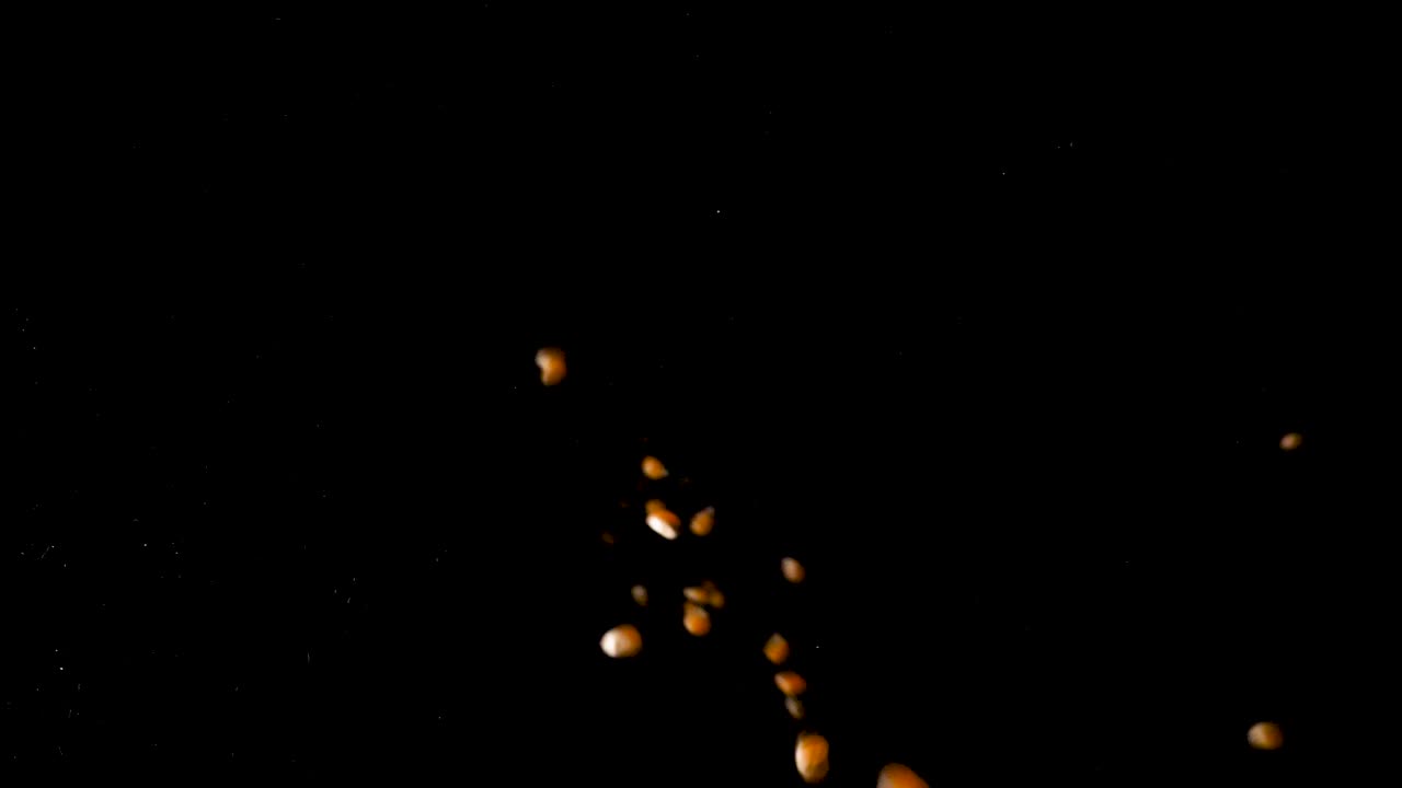 검정색 배경 스튜디오 설정에서 노란 옥수수 알갱이가 떨어지는 느린 동작