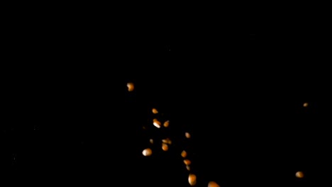 caída en cámara lenta de granos de maíz amarillo en un estudio de fondo negro