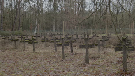 Static-shot-of-old-gravestones-and-branches-on-the-foreground