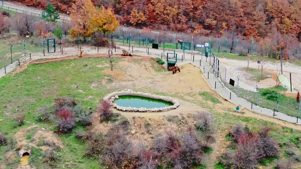 Vista telefoto de outono do habitat de ursos pardos na área montanhosa do Kosovo