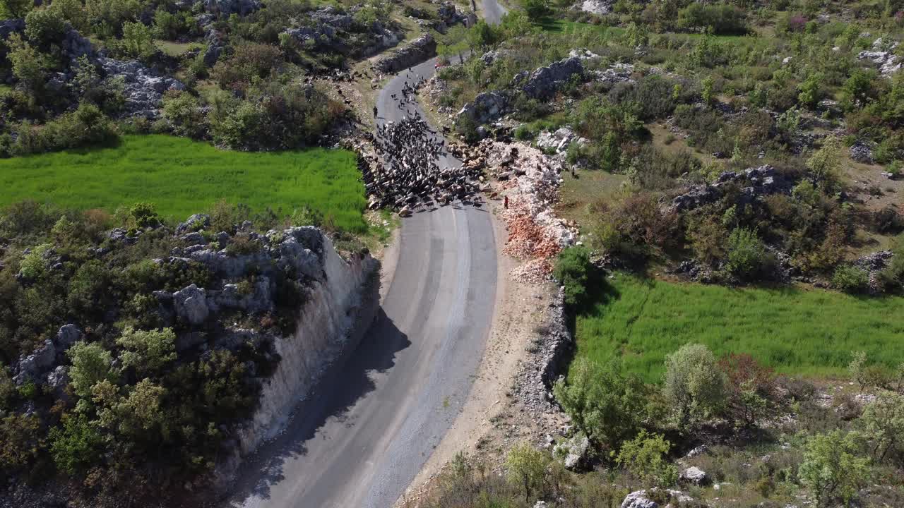 vista aérea de la carretera del bosque nómada