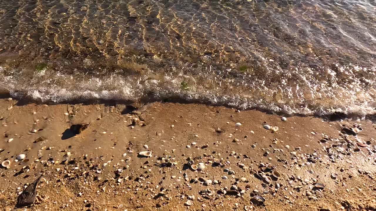 조개와 함께 모래 해변에 파도가 부히고