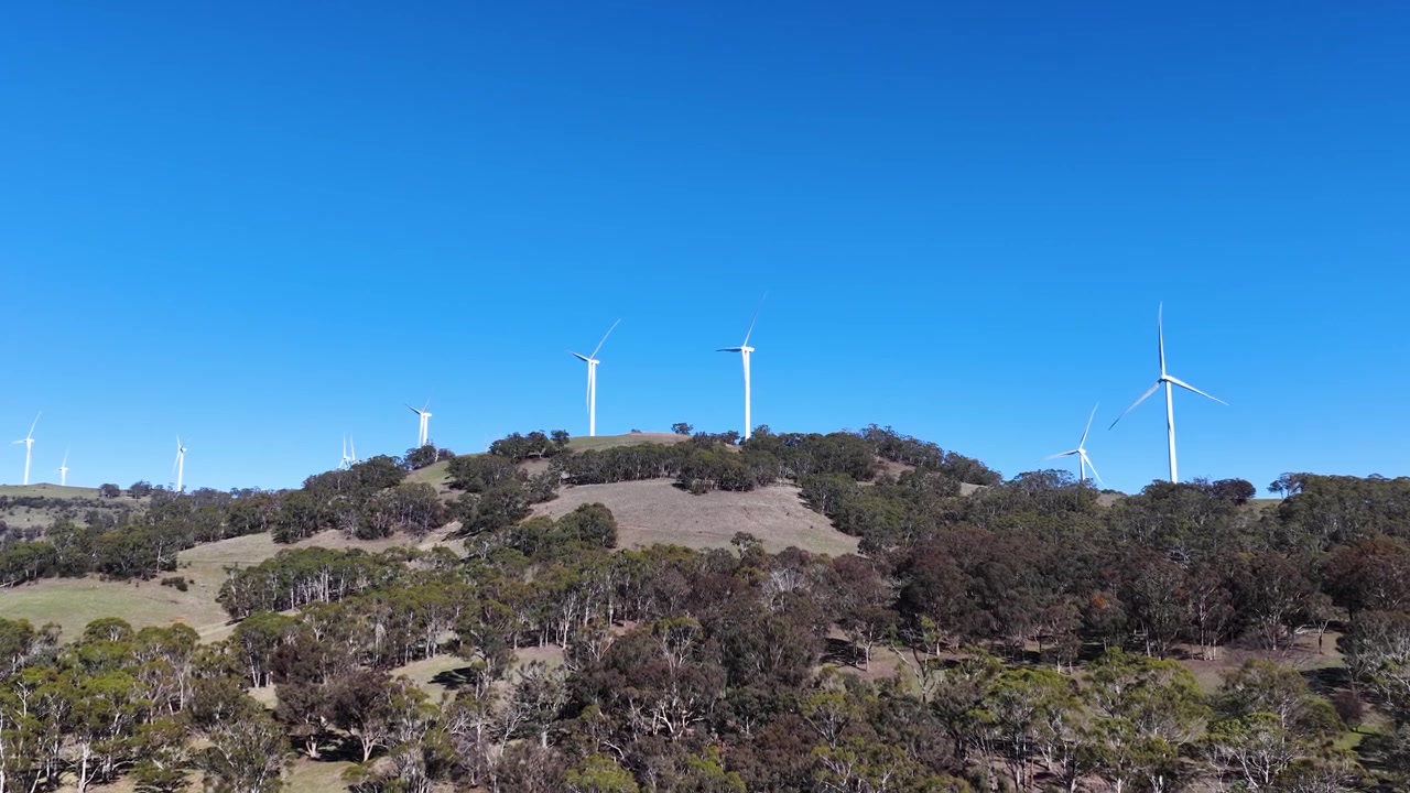 Ampia veduta aerea di turbine eoliche che generano energia rinnovabile su un crinale boscoso in Australia