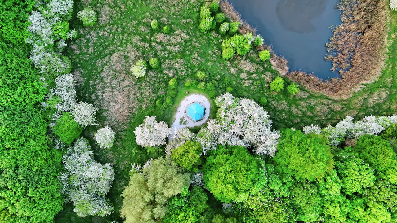Lush greenery growing near the little pond. Little gazebo with blue roof is in the lawn. Trees with white blossom are around the belvedere. Top view.