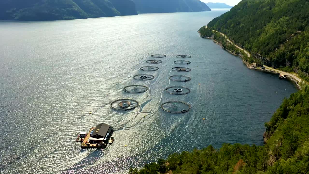 노르웨이에서 연어  ⁇ 시를 하는 공중 촬영