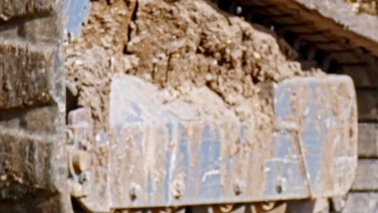 구성 현장의 흙 위로 움직이는 살쾡이의 흔적을 닫습니다