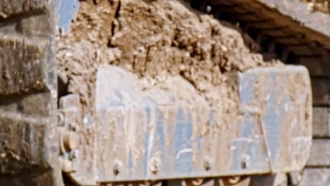 cerca de las huellas de un gato montés moviéndose sobre la suciedad en un lugar de construcción