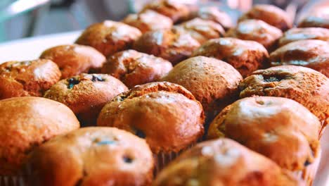 display of freshly baked blueberry muffins in coffee shop