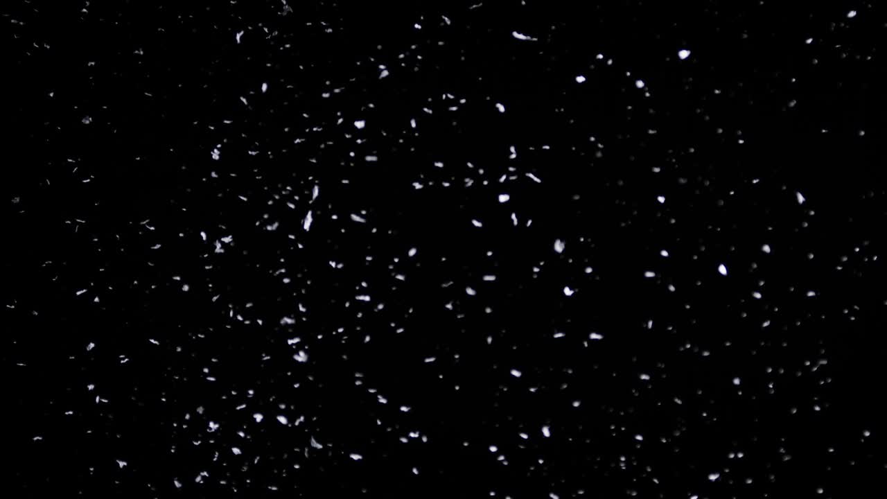 Fallende snø ned på den svarte bakgrunnen