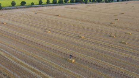 Man-on-a-haystack-in-a-harvested-wheat-field-looks,-aerial-circle-shot