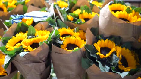 close up of chrysanthemum bouquet k videos slow