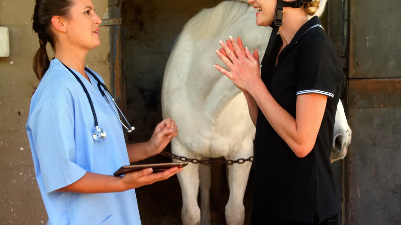 veterinario y mujer interactuando mientras usan tableta digital 4k