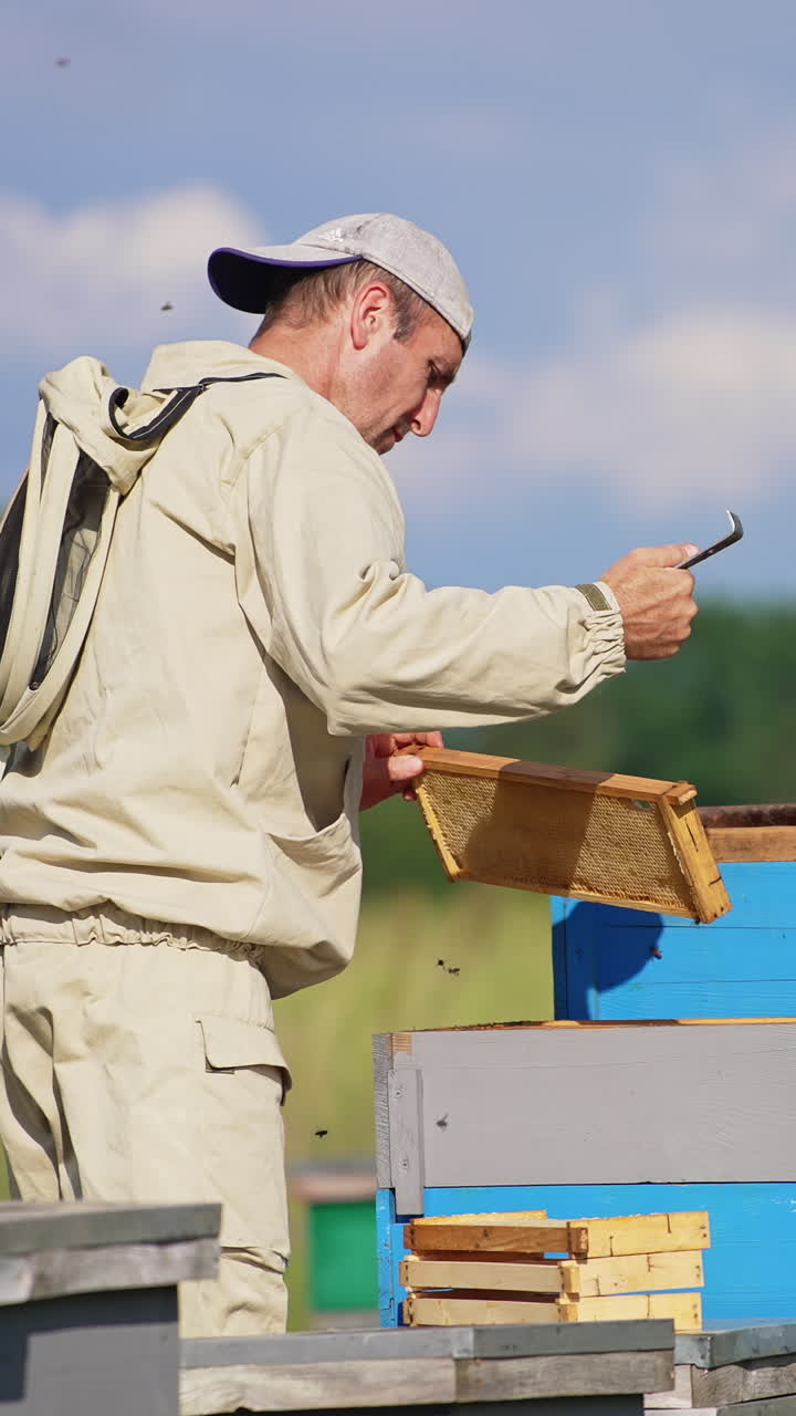 Male beekeeper takes a frame out of hive and cleans it from bees. Apiculturist piles the half-frames on the hive. Blurred backdrop. Vertical video
