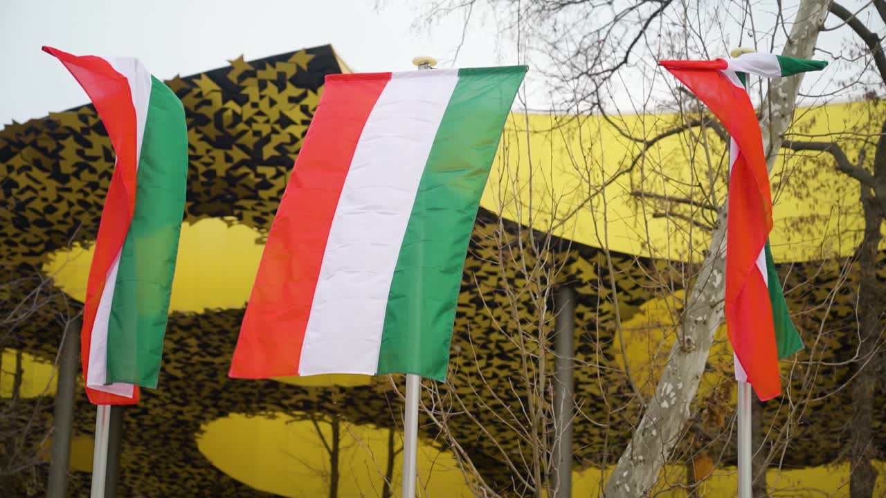 Bandiere ungheresi che sventolano davanti alla Casa della Musica Ungherese, con il tetto dorato unico e alberi visibili sullo sfondo