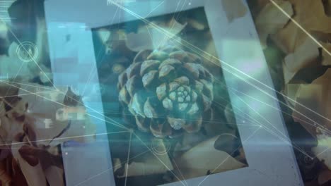 blue light trails and abstract shapes against close up of a frame over pinecone and maple leaves