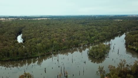 Drohnenaufnahmen-Des-Sich-Schlängelnden-Ovens-River-Und-Der-Eukalyptus-Auen,-Wo-Er-In-Der-Nähe-Von-Bundalong,-Victoria,-Australien,-In-Den-Murray-River-Mündet