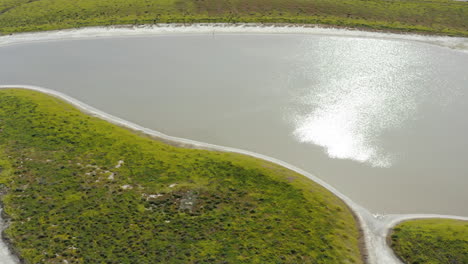 carrizo plains foothills in california resemble veins from above, showcasing the intricate patterns of nature's design in the landscape